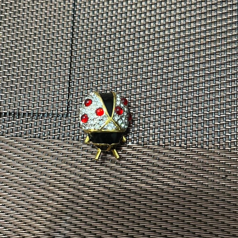 Ladybug Brooch